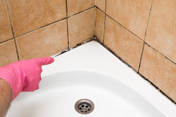 Trusted Sarcoxie, MO Mold Remediation Experts